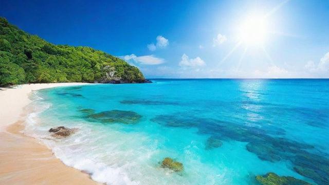哪里能办移动海洋卡套餐？