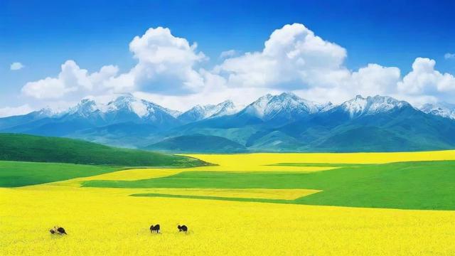 去哪里办移动小号卡套餐？