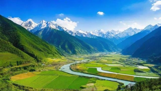 千川怎么投好？