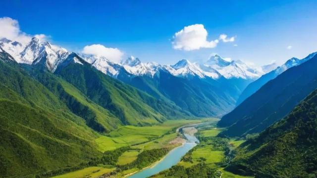 品牌千川怎么投?