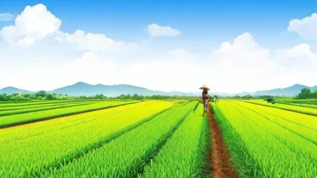 农药千川怎么投?