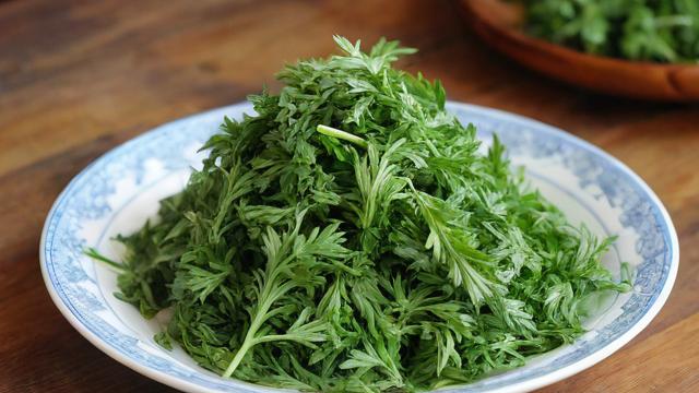 艾草千川怎么投？