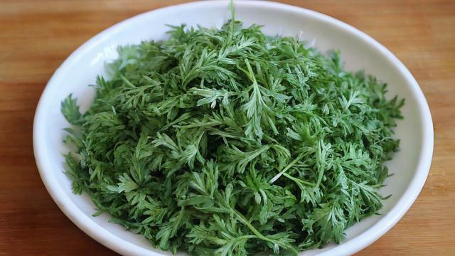 艾草千川怎么投？