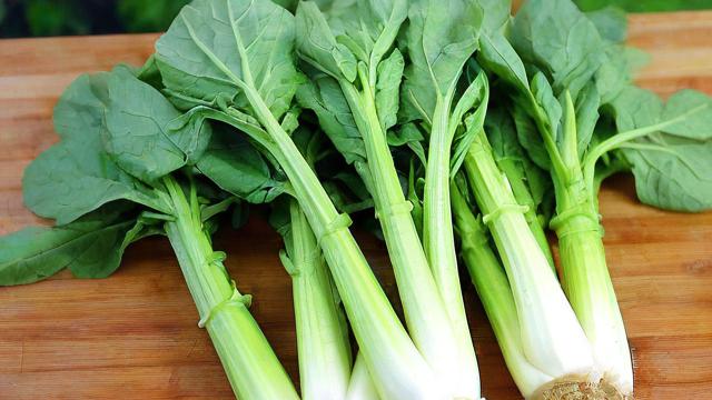 蔬菜千川怎么投?