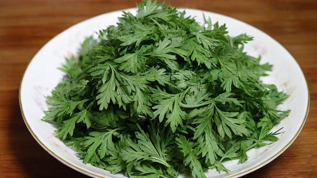 移动艾叶卡套餐怎么样?