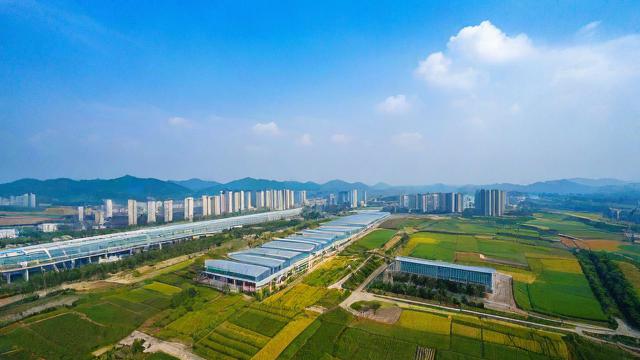 南召联通卡套餐价格多少?