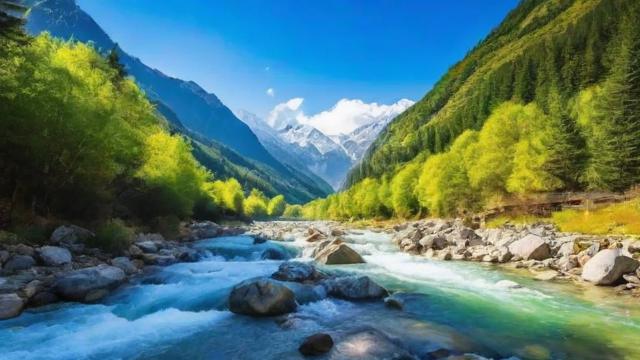 千川前期投流怎么投?
