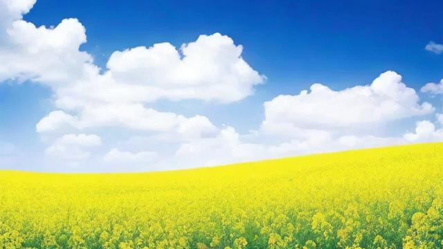 头条9元联通卡套餐多少？