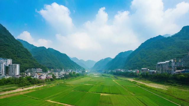 7月投千川怎么投?
