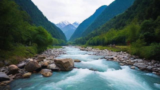 千川投流卖货怎么投?