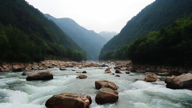 千川投流24小时自助