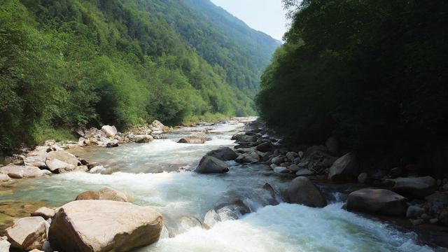 千川投流怎么帮投?