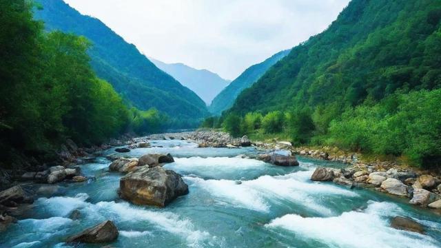 千川投流24小时自助