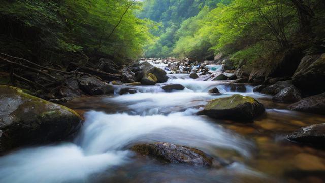 千川投流怎么投图文?