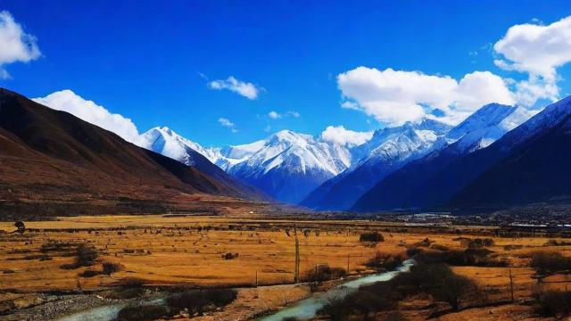 千川怎么投干货?