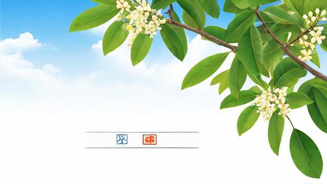 电信梧桐卡套餐怎么样查询？