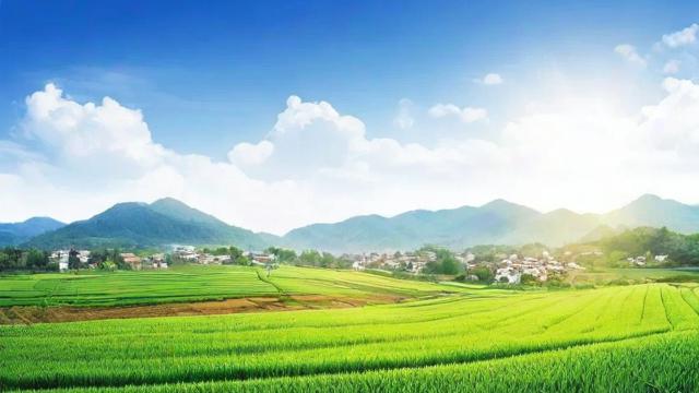 农资千川怎么投?