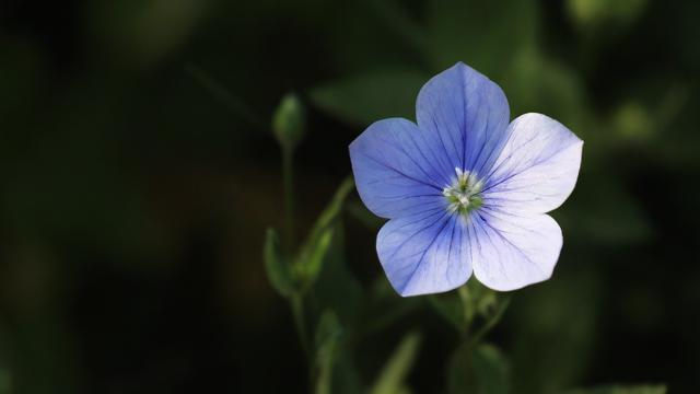 怎么样改移动花卡套餐？