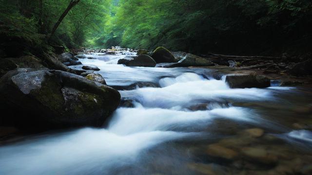 千川投流怎么投0？