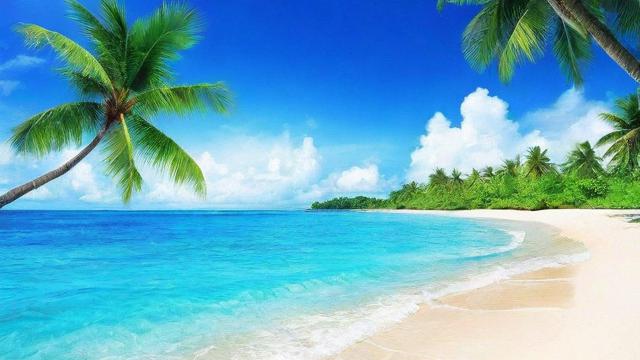 海南移动卡套餐哪个划算？