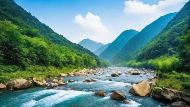 千川店铺投流怎么投?