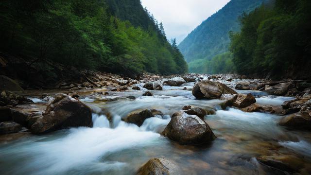 千川投流怎么不给投？