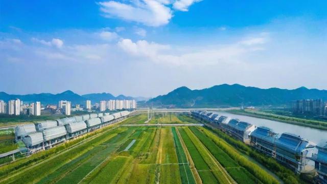 宁德电信卡套餐哪个划算？
