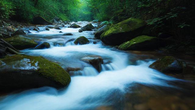 千川投流怎么不给投？