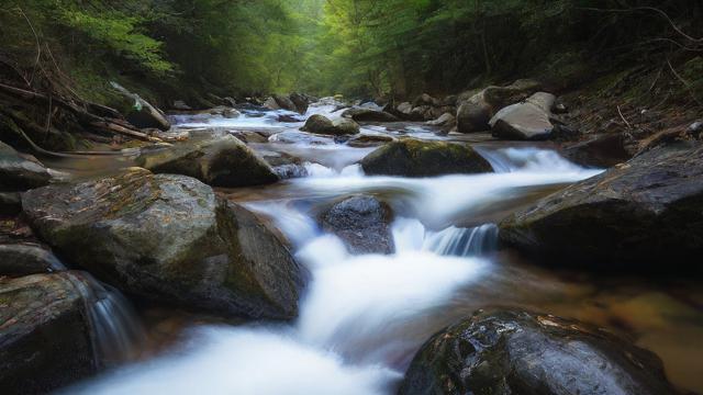 千川投流怎么帮投？