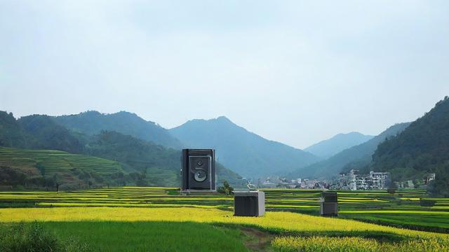 广电双百卡多久能送到?