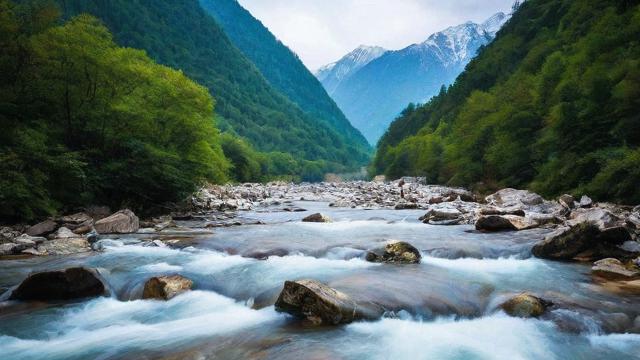 千川投流怎么投的？