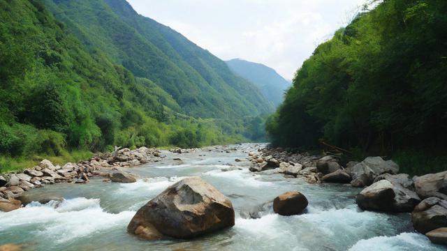 千川投流点赞怎么投？