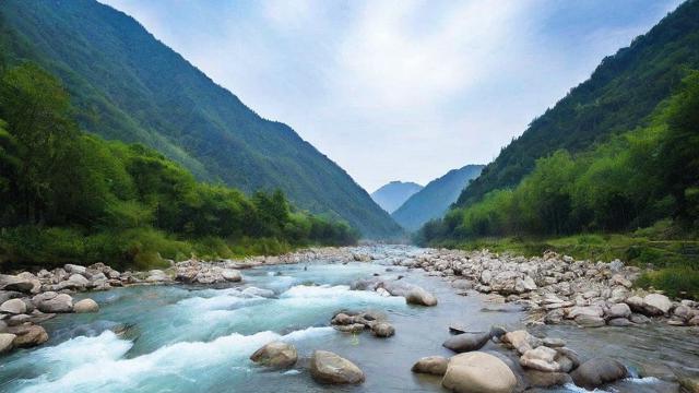 千川投流新号怎么投？