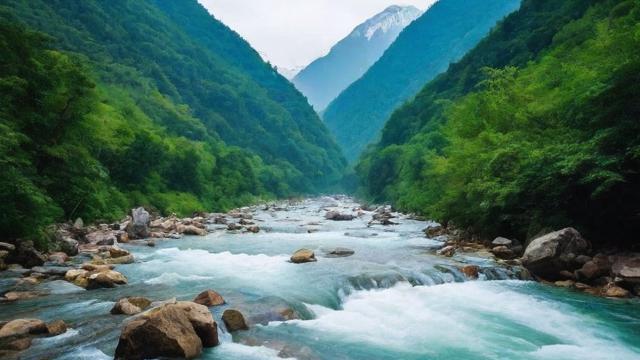 千川投流怎么查看企业千川?