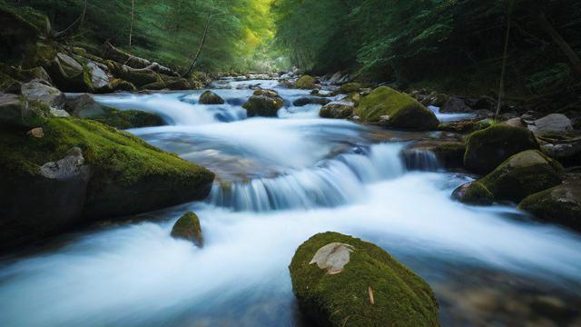 千川投流怎么定时投流？