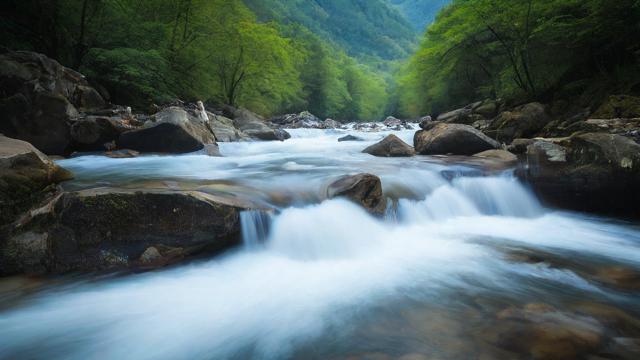 千川投流怎么定时投流？