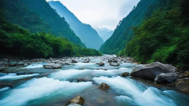 千川付费投流怎么投流？