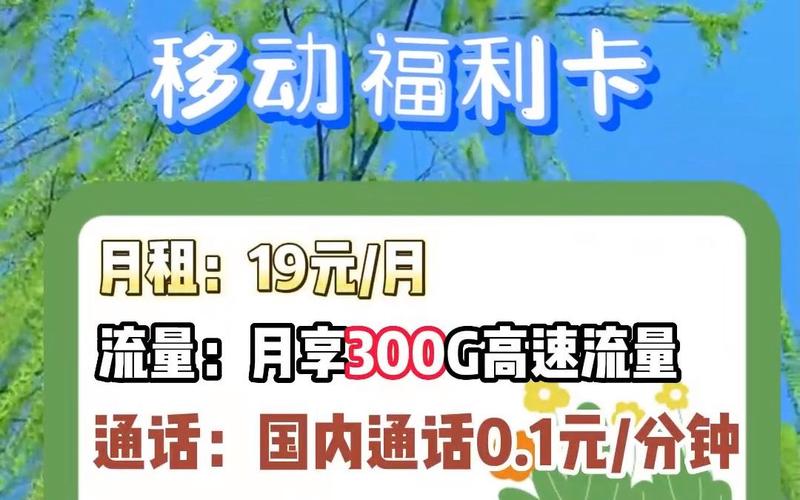哪个流量卡套餐不限速?