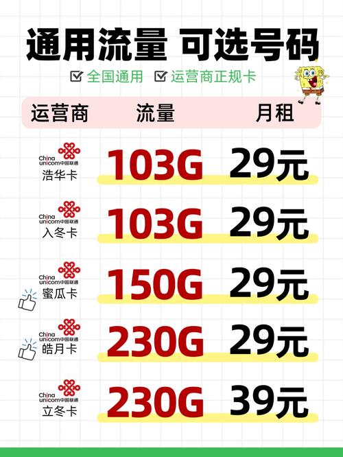 手机流量多少g？