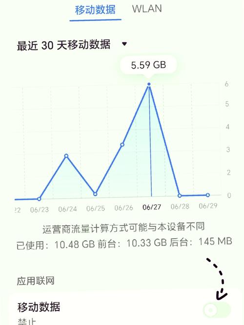 查询手机使用流量多少？