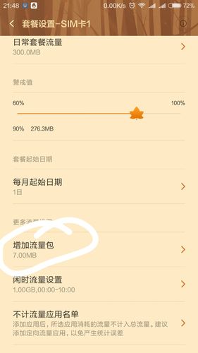 手机闲时流量用多少？