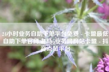 快手在线自助业务平台,卡盟低价自助下单