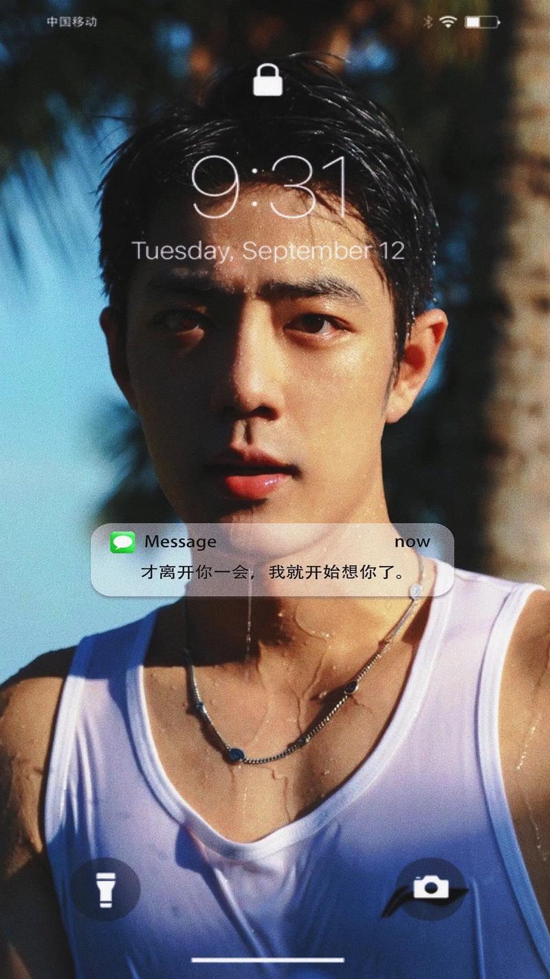 肖战手机流量多少?