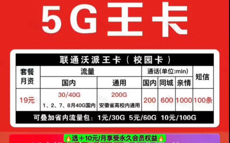 王卡哪个套餐送会员?