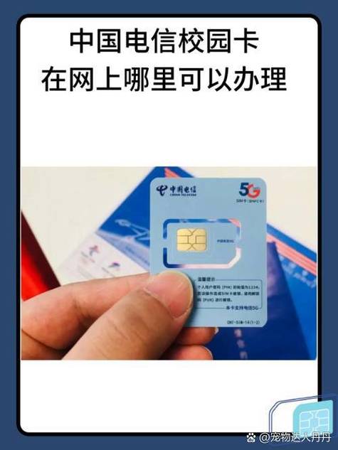 电信校园卡哪个套餐划算?