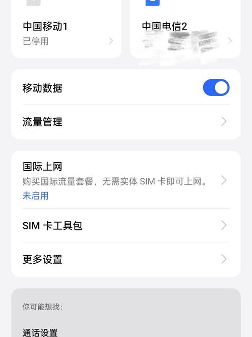 手机副卡流量多少?