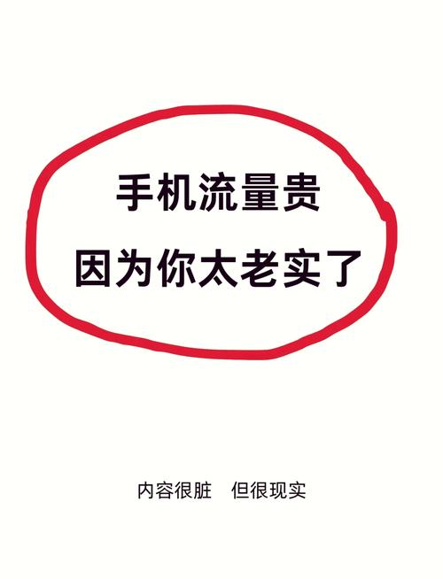 手机国际流量费多少?