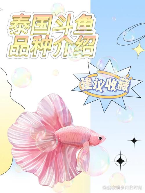 手机看斗鱼多少流量?