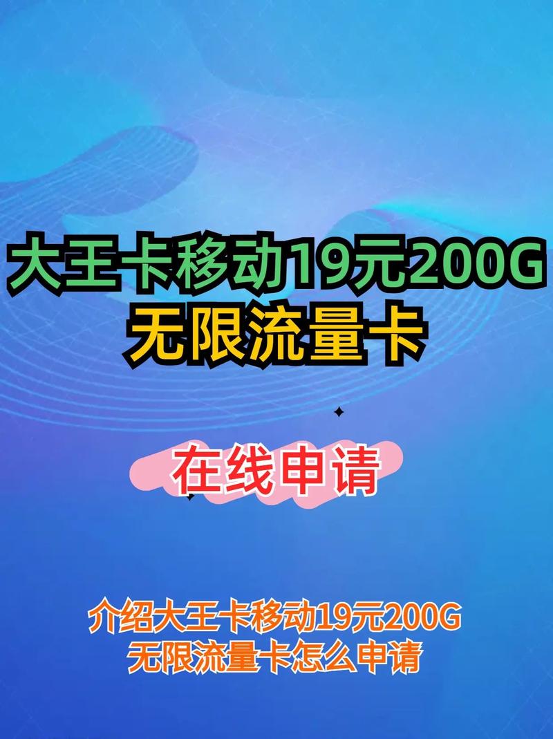 手机大王卡流量多少?