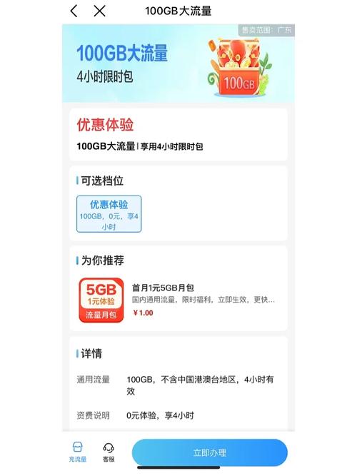 手机100元多少流量?